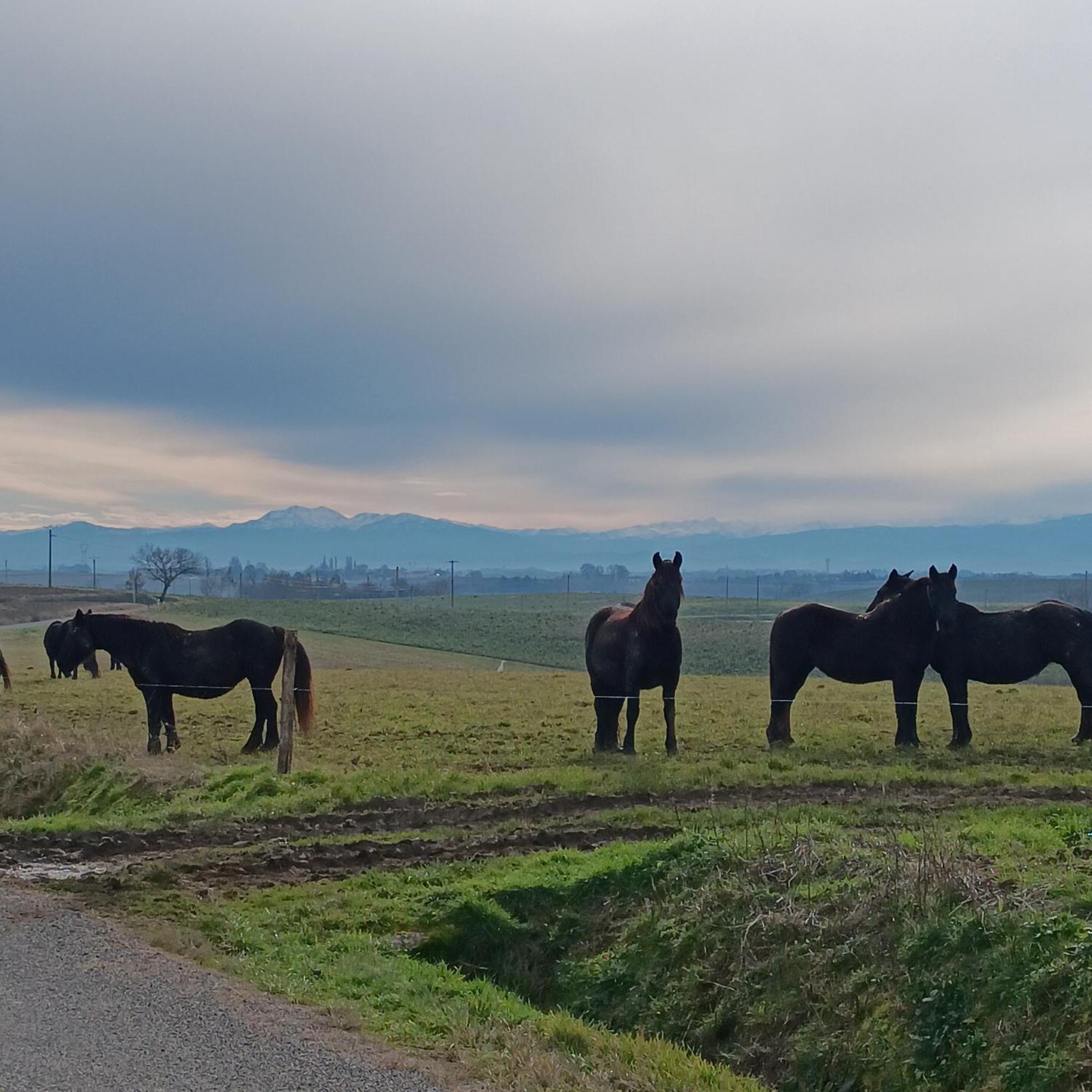 Le Gite De Cousal Esperce Esterno foto